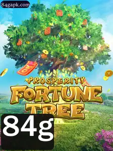 Descubra ProsperityFortuneTree: O Jogo de Tabuleiro Inovador e Suas Regras Exclusivas